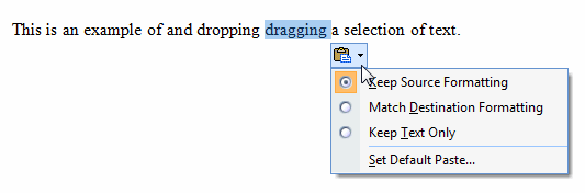 drag and drop paste options